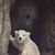 Darlene Merideth's profile image