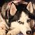 Carolyn Wagner's profile image