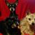 Rhonda Neuzerling's profile image