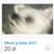 Kacper Kołacki's profile image