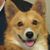 Marjorie Jorgenson's profile image