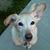 Jonathan C. Coose's profile image