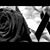 Israel Rodriguez Navarro's profile image