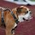 Hilton Ladner III's profile image