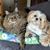Lori ReevesWhited's profile image