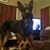 Rick Calzada's profile image