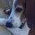 Diane Plott's profile image