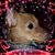 Isaac Armas's profile image