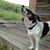 Janie Parsons Griffith's profile image
