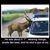 D.j. Fontenot's profile image