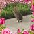 Stephen Christou's profile image