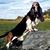 Richard Easbey's profile image