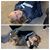 Heather Cetor's profile image