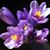 Wanda Lynne Bates's profile image