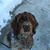 Suzi Rehn's profile image