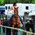 Shelene Back's profile image