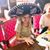 Stephanie Hetzel Snell's profile image
