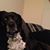 Jaynie Ruetz's profile image