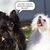 Chris Krowchuk's profile image