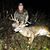 Rj Kilpatrick's profile image