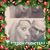 Lisa Wiant's profile image