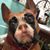 Jesse Tyrannosaur Gaidosh's profile image