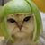 Tim Bailey's profile image