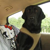 Ashby Henderson's profile image