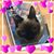 Jr Dominick's profile image