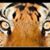 Albert Cedillo's profile image