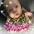 Karen Trego's profile image
