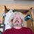 Ron White's profile image