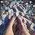 Amanda Marie Popplewell's profile image