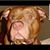 Tyson JB's profile image