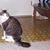 Charlene James Arndt's profile image