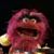 Susan Leslie's profile image