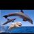Pam Vanning's profile image