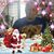 Elfi Huber's profile image