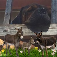Michelle Beezley's profile image