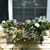 Janice Hammons's profile image