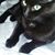 Amy Klocke's profile image