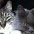 Hillary Charap's profile image