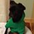 Meredith Kurysh's profile image