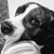 Brenda Redner's profile image