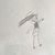 Anette Durbin Woodring's profile image