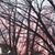 Jennifer Geppert's profile image