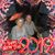 Gail Davis Diestler's profile image