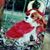 Mary Benham Herndon's profile image