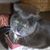 Bobbie Landis Spiker's profile image