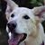 Annette Hebaus-Jenkinson's profile image